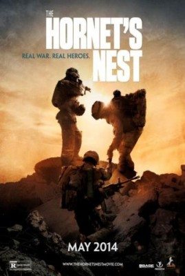 Hornet_nest